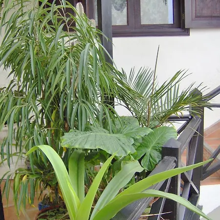 Appartement Monasterio De San Antonio - Adults Only *