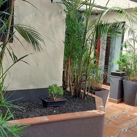 Apartmán Monasterio De San Antonio - Adults Only *