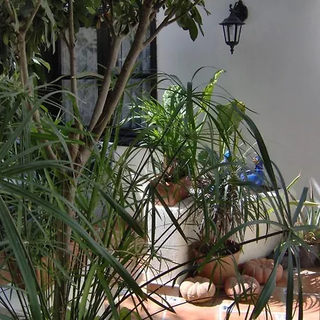 Appartement Monasterio De San Antonio - Adults Only Icod De Los Vinos