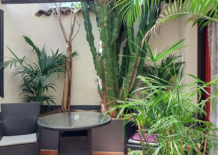 דירה Monasterio De San Antonio - Adults Only איקוד דה לוס וינוס