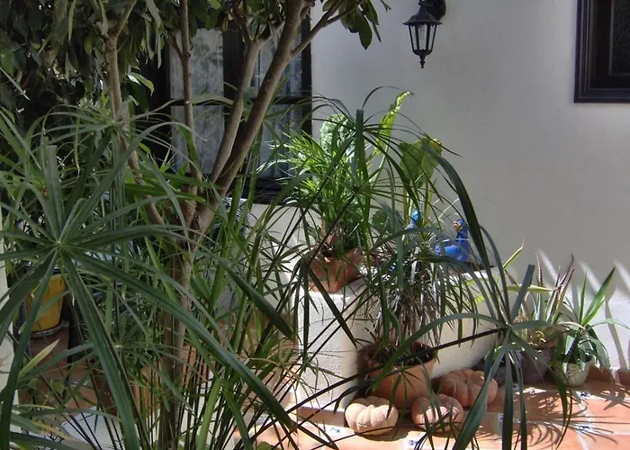 דירה Monasterio De San Antonio - Adults Only איקוד דה לוס וינוס