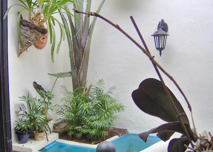 דירה Monasterio De San Antonio - Adults Only *