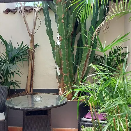 Apartment Monasterio De San Antonio - Adults Only Icod De Los Vinos