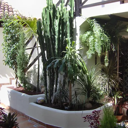 דירה Monasterio De San Antonio - Adults Only איקוד דה לוס וינוס