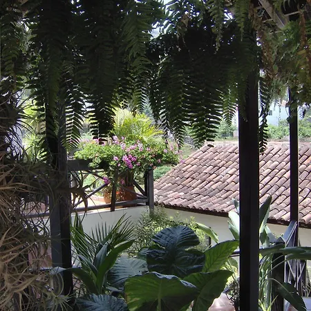 Apartment Monasterio De San Antonio - Adults Only Icod De Los Vinos