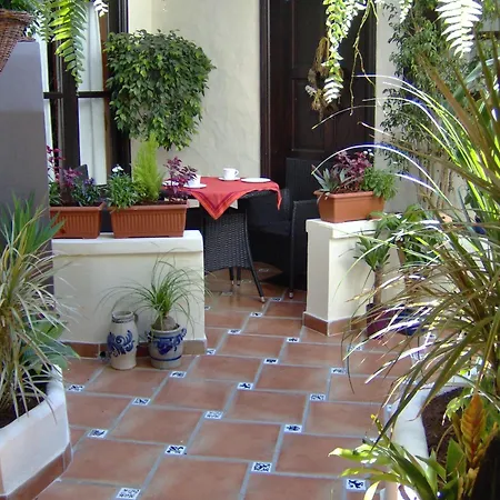 公寓 Monasterio De San Antonio - Adults Only 伊科德·德·洛斯·维诺斯