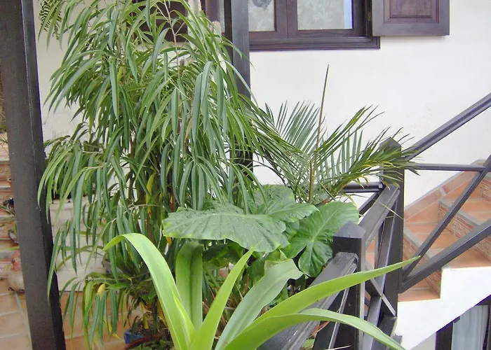 Apartment Monasterio De San Antonio - Adults Only *