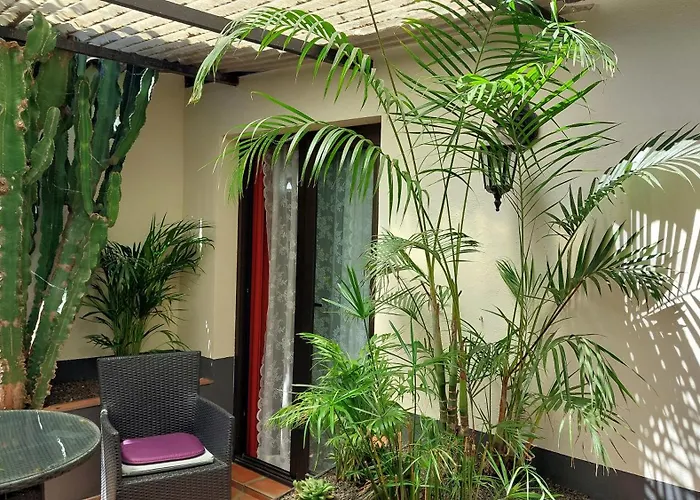 Apartment Monasterio De San Antonio - Adults Only