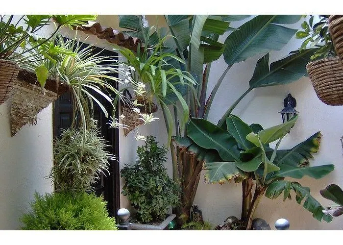 Apartment Monasterio De San Antonio - Adults Only Icod De Los Vinos